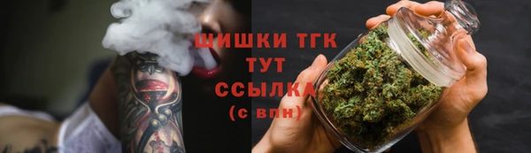 PSILOCYBIN Няндома