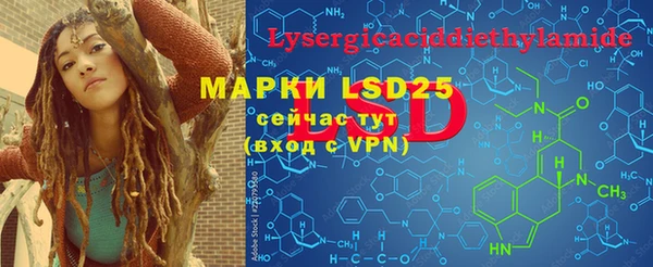 PSILOCYBIN Няндома