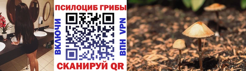 мориарти как зайти  Богородск  Псилоцибиновые грибы ЛСД 
