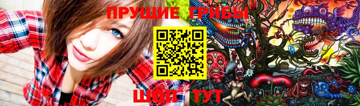 Псилоцибиновые грибы MAGIC MUSHROOMS  Богородск  Псилоцибиновые грибы Psilocybe 