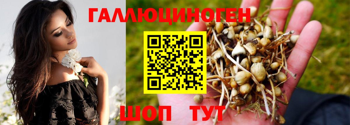 Богородск  даркнет сайт  Вход с VPN  Галлюциногенные грибы мицелий 