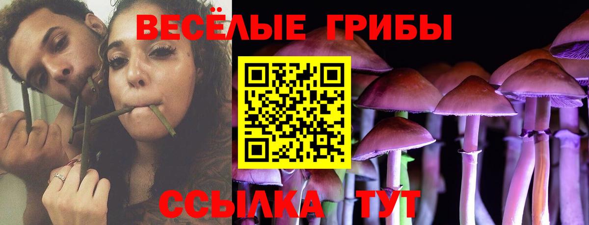 Галлюциногенные грибы Magic Shrooms Богородск