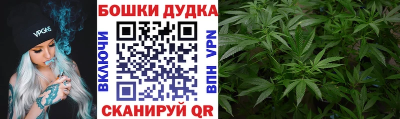 ссылка на мегу ONION  Богородск  Конопля индика 